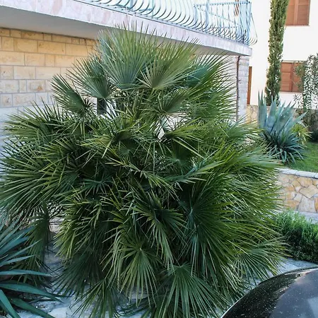 Slavica Apartment *
